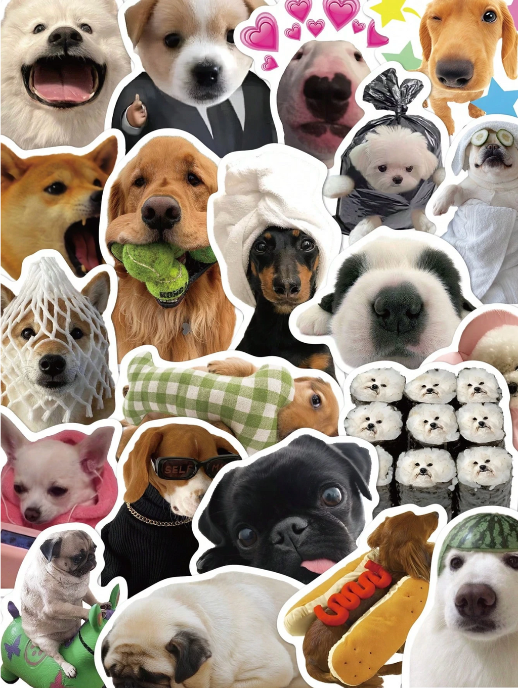 50pcs Funny Dog Meme Stickers