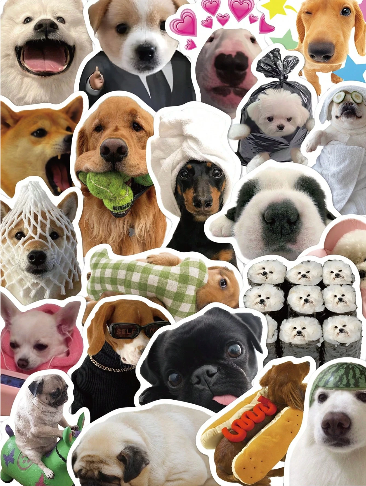 50pcs Funny Dog Meme Stickers