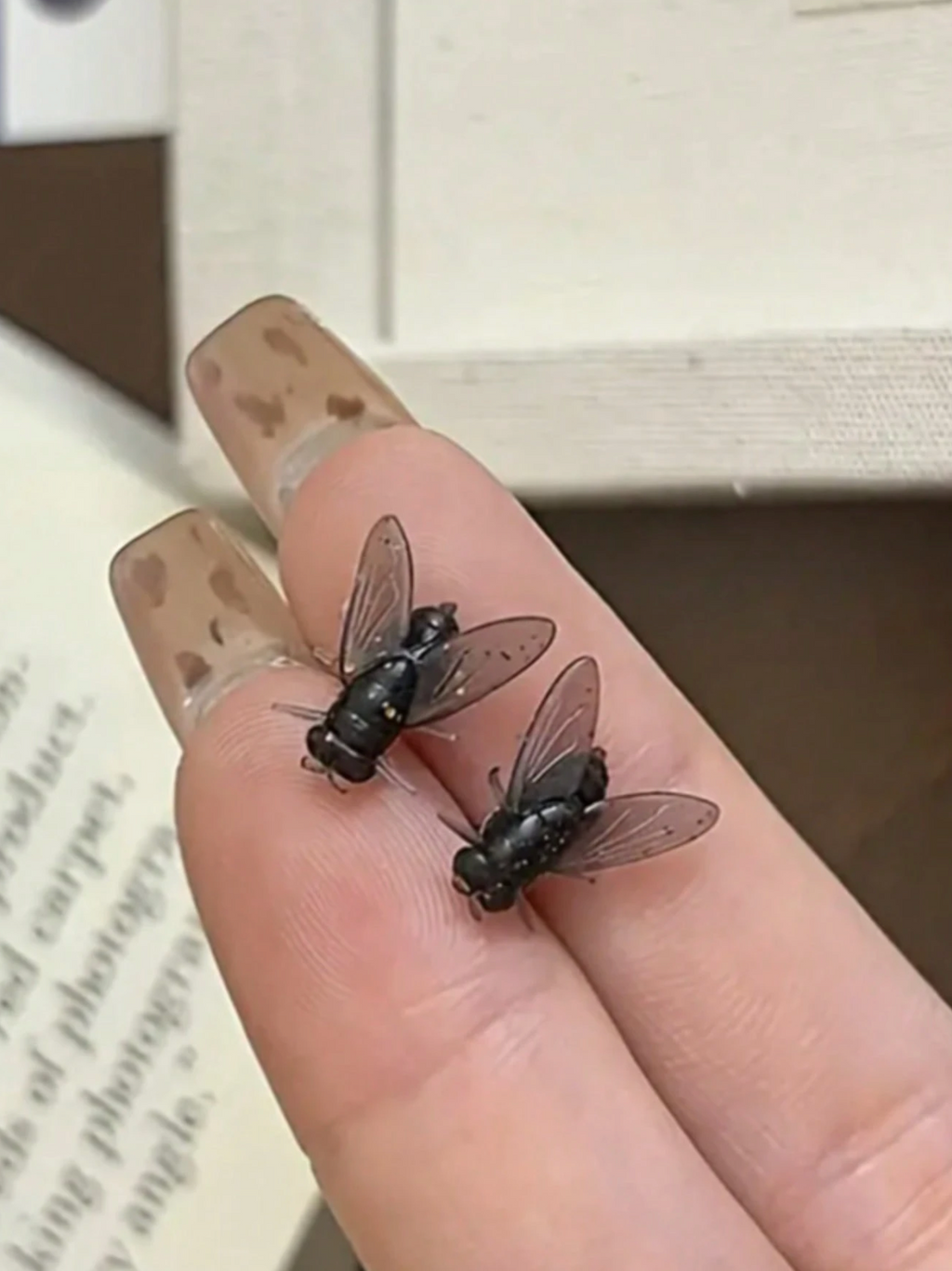 Pair Of Funny Fly Ear Studs - Realistic Look, Easy-To-Wear Everyday Gothic Casual Jewelry