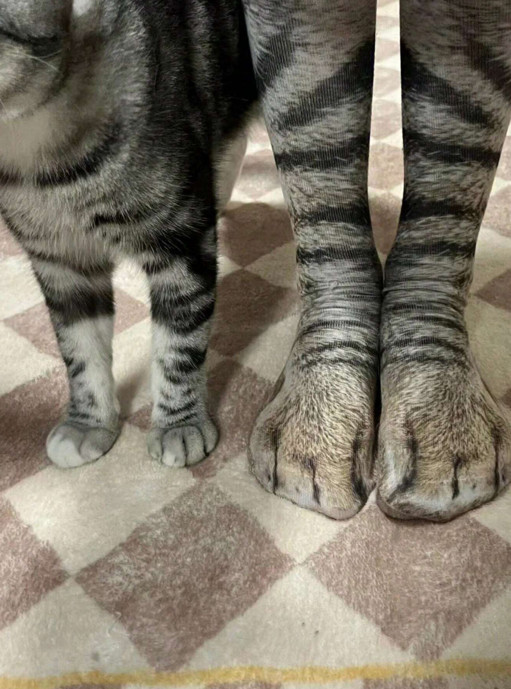 1 Pair Unisex 3d Printed Animal Patterned Mid-Calf Socks