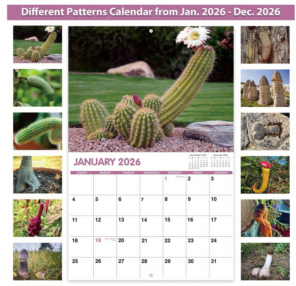 Funny 2026 Wall Calendar